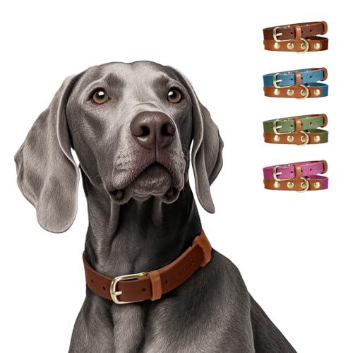 MIDOG Two-Tone Genuine Leather Dog Collar - Soft & Durable, Adjustable Rust-Proof Metal Buckle, Suitable for Small, Medium, and Large Dogs (M: 1.0" Wide for 15"-19" Neck)