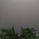 9FT Christmas Norfolk Pine Garland, Artificial Pine Needles Winter Garlands Faux Greenery Fake Garland for Holiday Fireplace,Table, Window, Stairs, Mante, Indoor Outdoor Decor (2 Pack, 9 FT)