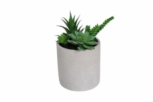 HD Deisigns Faux Succulent Greenery, 6-inch Pot