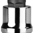 Capri Tools TP55 Star Plus Bit Socket, 3/8 in. Drive