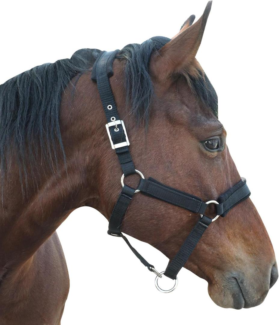 Fleece Horse Halter Adjustable Chin and Throat Snap with Snap (Small, Black)