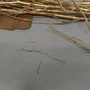 Branches for Vase, 3'4' Natural Birch Tree Branches for Decoration, Bundle of 10 Tall Decorative Sticks for Vases, Rustic Wood Branches for Crafts, Weddings, Seasonal & Home Dcor - Gold