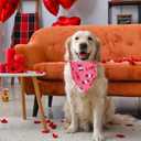 ADOGGYGO Valentine Dog Bandanas 2 Pack, Triangle Reversible Love Heart Scarf, Premium Durable Fabric, Pet Valentine Bandana for Extra Large Dogs (X-Large)