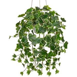 Hollyone Fake Hanging Plants with Pots, Artificial Potted Ivy Vine Faux Ivy Leaves Hanging Greenery Plants for for Home Ceiling Bedroom Living Room Garden Front Porch Table Shelf Wall Decoration