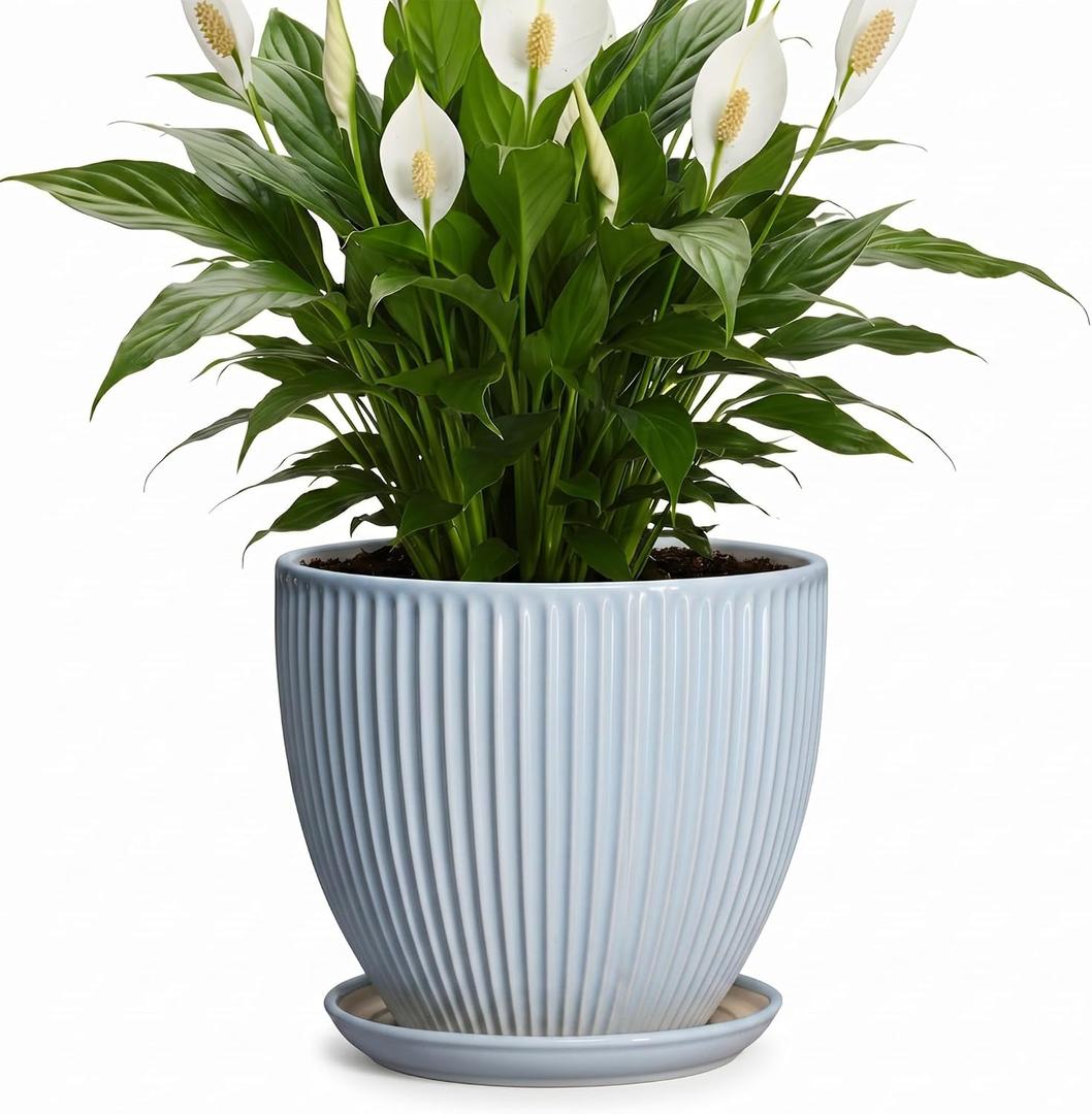 8 Inch Plant Pot Indoor, Ceramic Flower Pots with Drainage Hole and Saucer, Round Plant Pot for Indoor House Plants, Modern Plant Pot Indoor, Office Home Decor, House Warming Gifts, Light Blue