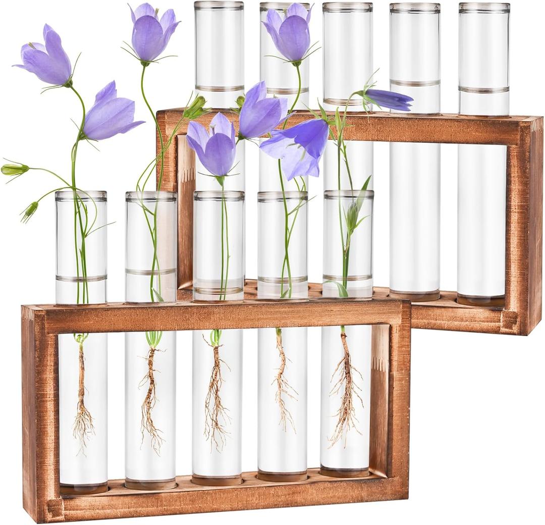 2pcs Desktop Glass Plant Propagation Station with 10 Test Tubes in Wooden Stand - Hydroponic Plants Cutting Office Home Decoration and Garden Decor Terrarium (10 Tubes)