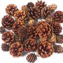 JOHOUSE 30PCS Christmas Pine Cones, Natural Pinecones for Crafts Assortment Rustic Pine Cones for Decorating Christmas Winter Holidays Table Bowl Fillers, Winter Vase Filler