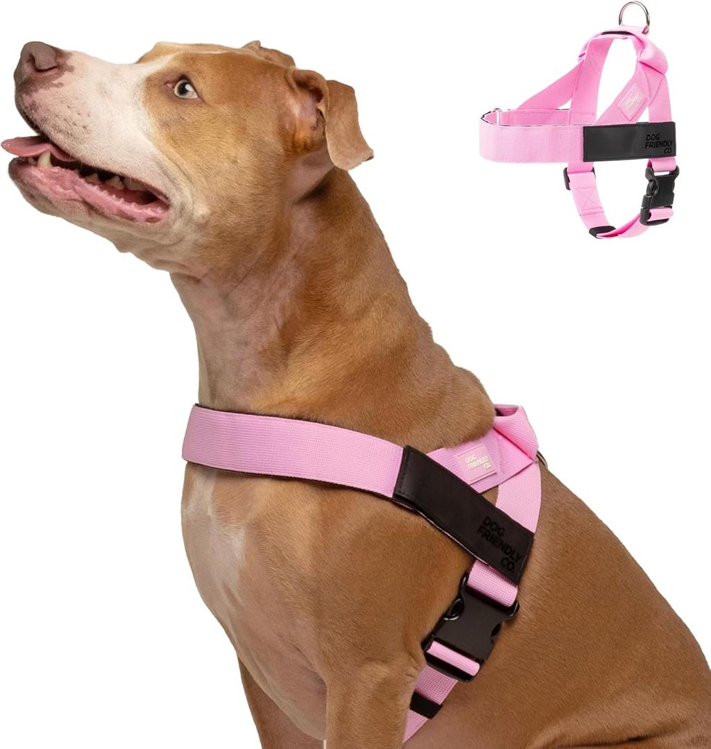 Dog Friendly Co. Dog Harness | Chafe Resistant Webbing, Adjustable Neck & Chest, and Heavy Duty D-Ring | Sturdy, Comfortable, Easy to Use | Pink, Size L