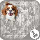 PUPIBOO Washable Pee Pads for Dogs and Cats - Super Absorbent Reusable Puppy Training Pads - 100% Waterproof, Leak-Proof & Non-Slip (3FT x 3FT (Pack of 2), Vintage Grey)