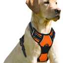 BARKBAY No Pull Dog Harness Front Clip Heavy Duty Reflective Easy Control Handle for Large Dog Walking(Orange,XS) (X-Small(Chest:15.5-19.5))
