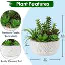 Briful Small Fake Plants Assorted Faux Succulents in Pots Realistic Succulents Plants Artificial with Cement Pots for Home Table Office Desk Bathroom Shelf Living Room Decor
