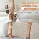 PEGIC Cat Tree Tower for Cats with Two Real Branches, 44 Inch Wood Modern Cat Tower with Luxury Cat Condo, Cat Scratching Post, Jumping Platforms, Cat Furniture (Long Plush)