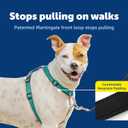 PetSafe 3 in 1 No-Pull Dog Harness for Medium Dogs - Walk, Train or Travel - Helps Pets from Pulling on Walks - Seatbelt Loop Doubles as Quick Access Handle - Reflective - Medium, Teal