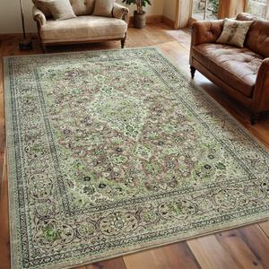 Washable Rug 4x6, Sage Green Area Rugs Non Slip, Indoor Low Pile Carpet with Rubber Backing for Living Room Kitchen Bathroom Entryway Office Bedroom (Green/Light Brown)