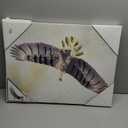 Eagle Picture 24"×18"