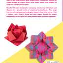 Amazing Origami Boxes: 20 origami models with instructions and diagrams (Dover Crafts: Origami & Papercrafts)