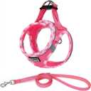 Mercano Soft Mesh Dog Harness and Leash Set, No-Chock Step-in Reflective Breathable Lightweight Easy Walk Vest Harnesses with Safety Buckle for Small Dogs, Cats (M, Fuchsia) (M (Chest: 14.5"-16.5"))