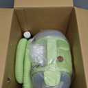 BISSELL Little Green Mini Portable Carpet and Upholstery Deep Cleaner, Car/Auto Detailer, with HydroRinse Self-Cleaning Tool and 4" Tough Stain Tool, Tea Green, 4075