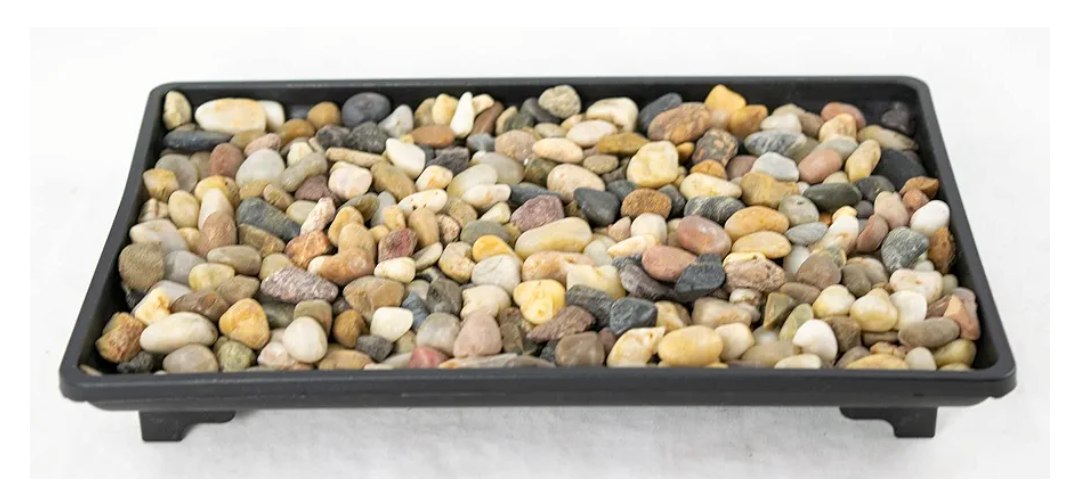 Rectangular Black Plastic Humidity/Drip Tray for Bonsai Tree and House Indoor Plants + Rock