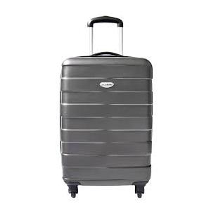 North Pak Hardside Spinner Luggage - Charcoal, 20 in