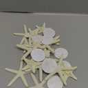 Jetec 24 Pcs Starfish Assorted Decor 3.14 Inch Starfish for Crafts Star Fish Shells Decorations Sand Dollar Ornament White Resin Star Fish Decorations for Wedding Beach Party Decor DIY Craft Supplies