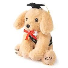 2-pk class of 2025 graduation bear and puppy  with cap and diploma 10 in.
