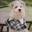 4 x Dog Tuxedo Wedding Suit Shirt with Bow Tie, Formal Outfit Tux Attire for Puppy Small Medium Dogs Cats Costume (Khaki Scarf, Large)