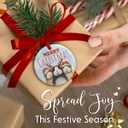 3 x Guinea Pig Christmas Ornament 2025  Guinea Pig Celebrate Christmas Decor, Cute Animals Ornament - Hamster Holiday Tree Decoration, Xmas Gift for Animal Lovers & Pet Owners