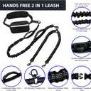 Hands Free Double Dog Leash with Pouch, Dual Leash for 2 Dogs with Reflective Padded Handles, Durable Bungee and Lumbar Waist Belt for Walking, Jogging and Running (Small, 8-25 lbs)