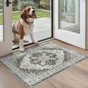 Madane Washable Area Rug 2x3, Small Entryway Rug Non-Slip Vintage Door Mat Indoor Entrance, Low Pile Floor Carpet for Inside Front Door Bedroom Kitchen Entry Laundry (2'x3', Black)