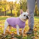3 Pack Dog Shirt for Small Supplies Functional Waffle Dog Clothes Warm Soft Sweatshirt Outfit for Dogs Cats Pet Apparel, S (Back: 11.8",Chest: 15.7", 5.5-10Ibs)