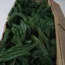 Hananona 4 Pcs 9 Ft Artificial Norfolk Pine Garlands, Realistic Pine Garland, Green Artificial Greenery Garland for Table, Mantle, Wall, Indoor, Outdoor Winter Christmas Decorations (4, 9 FT)