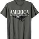America Golden Age Patriotic Bald Eagle Design T-Shirt, S