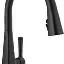 Delta Lenta Matte Black Kitchen Faucet with Pull Down Sprayer, Modern Single Hole Kitchen Sink Faucet, Single Handle, Matte Black 19802Z-BL-DST