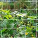 Tcamp Trellis Netting for Plants (5Ft x30Ft, 3.5" Square Mesh Ployester, 2Pack)