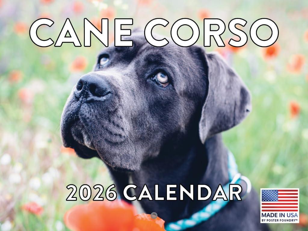Cane Corso Calendar 2026 Wall 12 Month Monthly Cane Corsos Gifts For Cane Corso Lovers Women Men Mom Dad | American Made In The USA