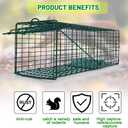 Qualirey 2 Pcs Humane Squirrel Trap Heavy Duty Live Animal Chipmunk Catch and Release Rat Trap for Outdoor Small Animals Mouse Raccoon Stray Cat Rodent Weasels(Green)