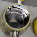 Hazel Quinn X Eduardo Recife Electric Kettle - 1200W Fast Water Boiling, 1.7L/57oz, All 304 Stainless Steel Interior, BPA-Free, Auto Shut-Off, Cordless Retro Teapot with Thermometer - Floral Patterned (Floral Painted Design)