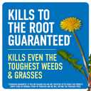 Roundup Weed & Grass Killer4 Refill, 1.25 gal.