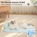 All-Season Ice Fabric Cat Bed with Cushioned Pillow/Play Ball/Washable Mat for Cats, Kittens & Small PetsGreen, Large-25"x19"x4"