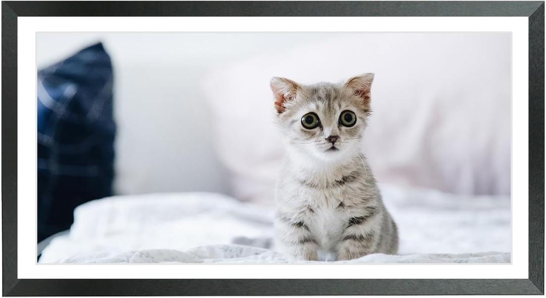 Mxtallup 11x23 Picture Frames Solid wood, Display Pictures 9x21 Inch With Mat or 11x23 Inch Without Mat, Poster Frames 9x21 in Photo Frames Wood Black (T22B1123W921)