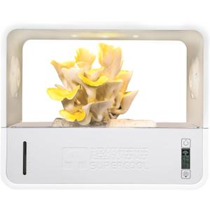 Mushroom Grow Tent with Automatically Adjusts Humidity,Indoor Mushroom Grow Box with Grow Light,Smart Monotub Mushroom Growing Kit with Temperature Display,Still Air Box for Mushroom Growers