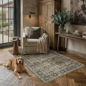 Vintage Area Rug 3x5 Brown Entryway Office Washable Carpet Non Slip Bedroom Indoor Living Room Door Mat Low Pile Traditional Distressed Retro Accent Rug for Dining Room Bathroom Kitchen