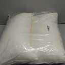 Leeden 12x20 Pillow Insert Set of 2 - Firm and Fluffy Lumbar Pillow Inserts, Rectangle Interior Sofa Pillow Inserts, Decorative Pillow Insert Pair - Beige Couch Pillow