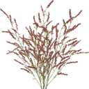 3 Pcs Artificial Flowers Branchs Wheat Stalks Bundle Fake Fall Flowers Stems with Mini Berries Brown Red Faux Floral Arrangements for Vase Home Wedding Centerpieces Thanskgiving Decor 42"