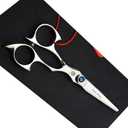 5.0 inch 440C Sliver Salon Hair Cutting Scissors Barber Shears with Bag- Perfect for Professional Hairdresser