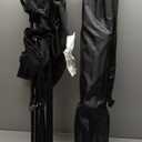 HIGH POINT SPORTS 2 Pack Portable Camping Chair for Adults, Folding Outdoor Camp Chair Lightweight Lawn Chairs Folding Collapsible Chair for Camping, Tailgates, Beach, Black, Support 250 lbs Black