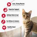 Nulo Freestyle Cat & Kitten Dry Food - Chicken & Cod Recipe, High Protein Grain Free Cat Food, Natural Kibble with Probiotics & Omega Fatty Acids, 14lb Bag (EXP 12/17/27)