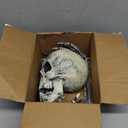 JOYIN 3 Pcs Halloween Skeleton Decorations Outdoor, Realistic Looking Skeleton Yard Stakes, Groundbreaker Skull Decor for Graveyard Yard Lawn Garden Party Supplies