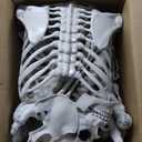 UMEELR 5.9FT Poseable Life Size Skeleton, Plastic Full Size Human Skeleton with Movable Joints for Halloween Garden Party Decoration